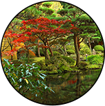 四季折々に日本庭園を彩る花や樹木が植えられています。