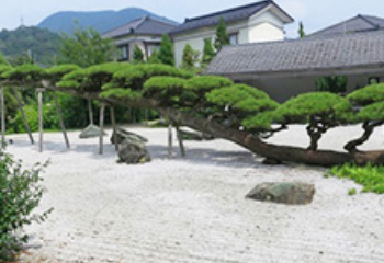 Neju-no-matsu Garden