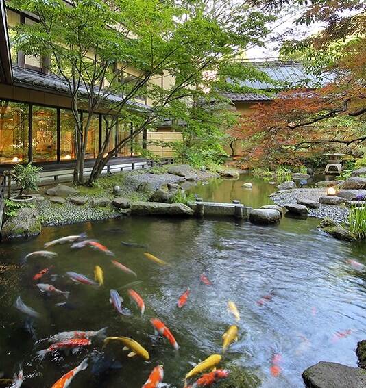 四季折々に表情を変える日本庭園