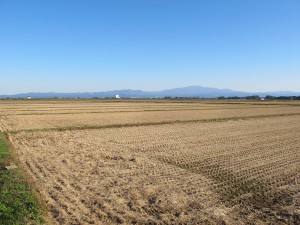IMG_2190